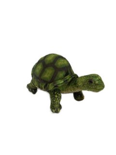 Obrázek z Želva zelená plyš 25cm (72) 